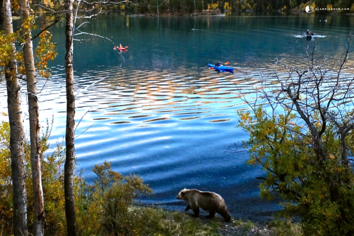 Tent Camping in British Columbia