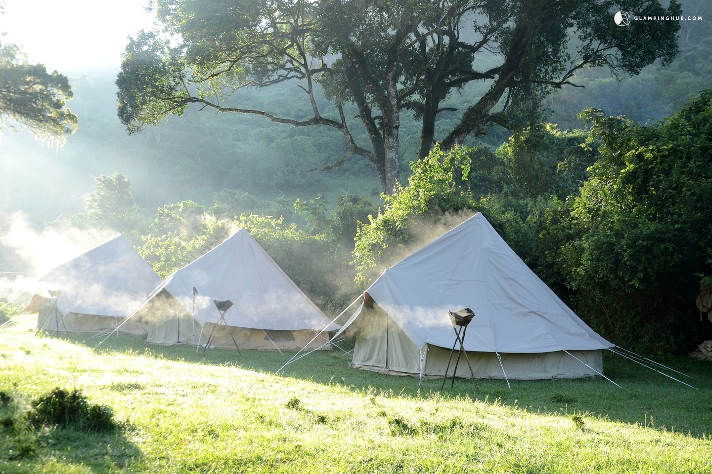 Luxury BellTent Rentals in Kenya Luxury Camping in Kenya