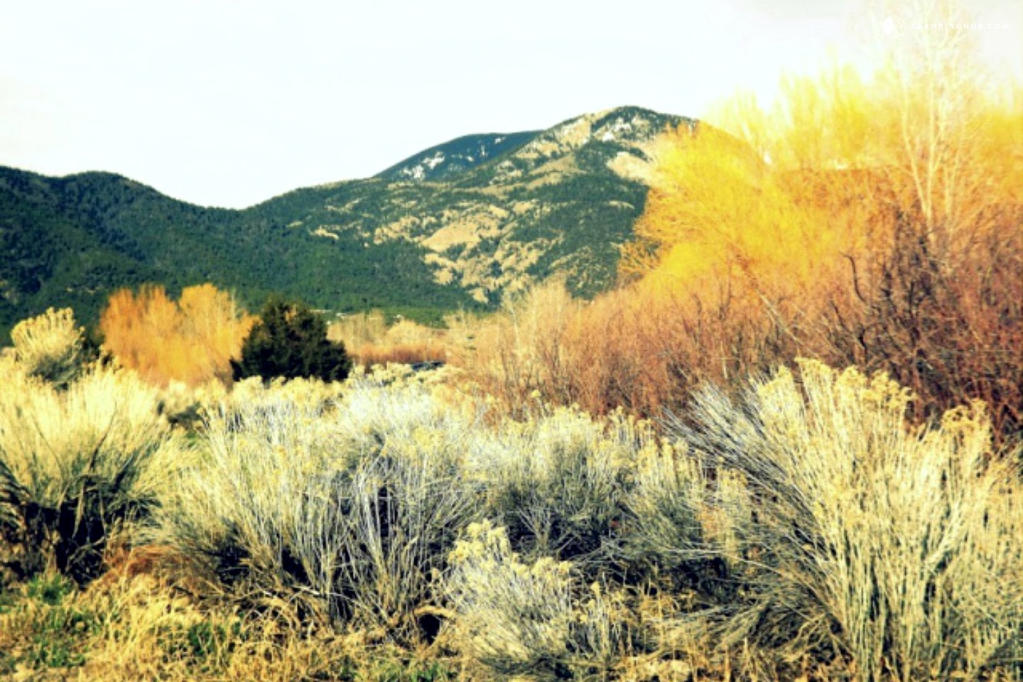 Luxury Cabins NM New Mexico Cabins