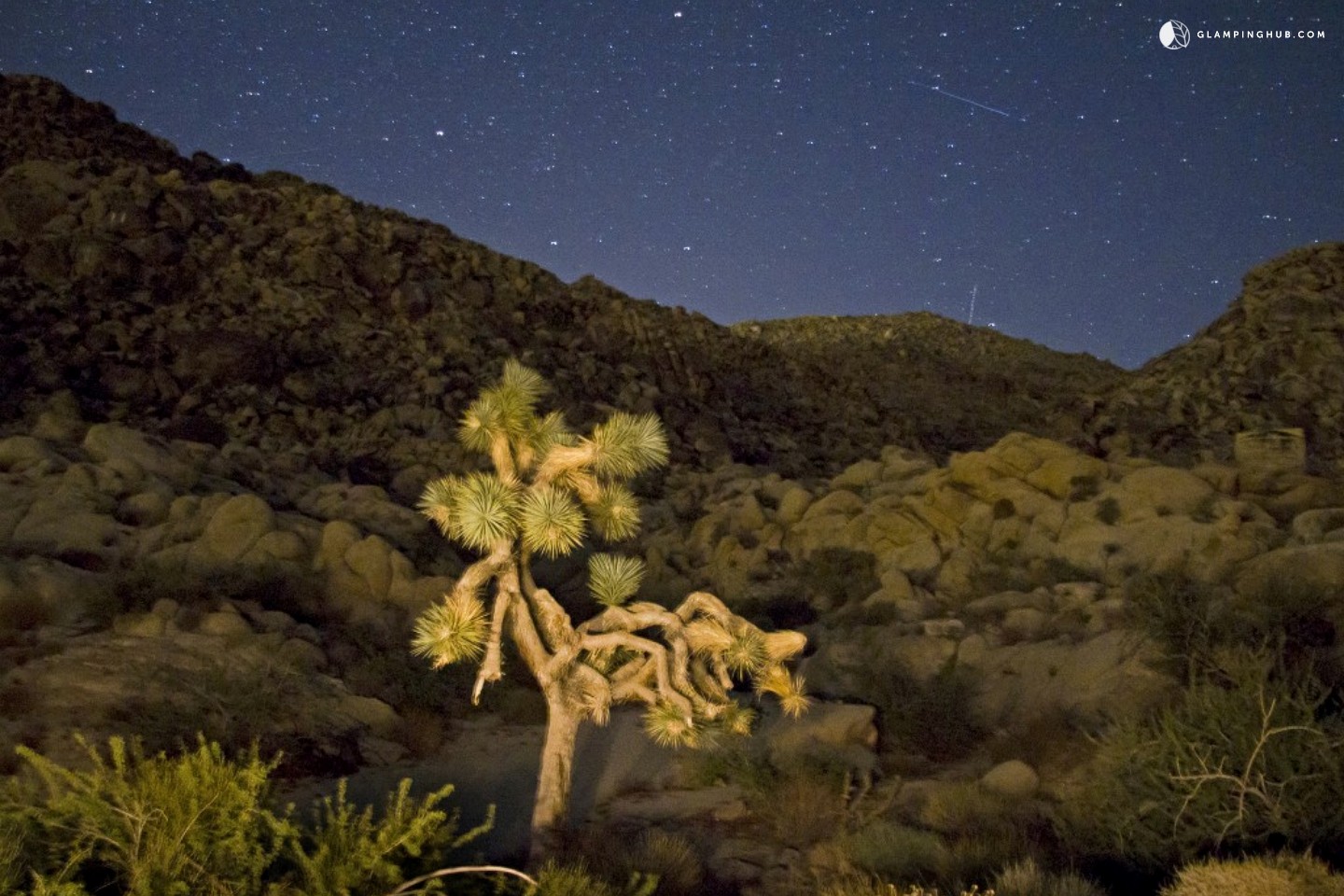 Vacation Rental in Joshua Tree, California