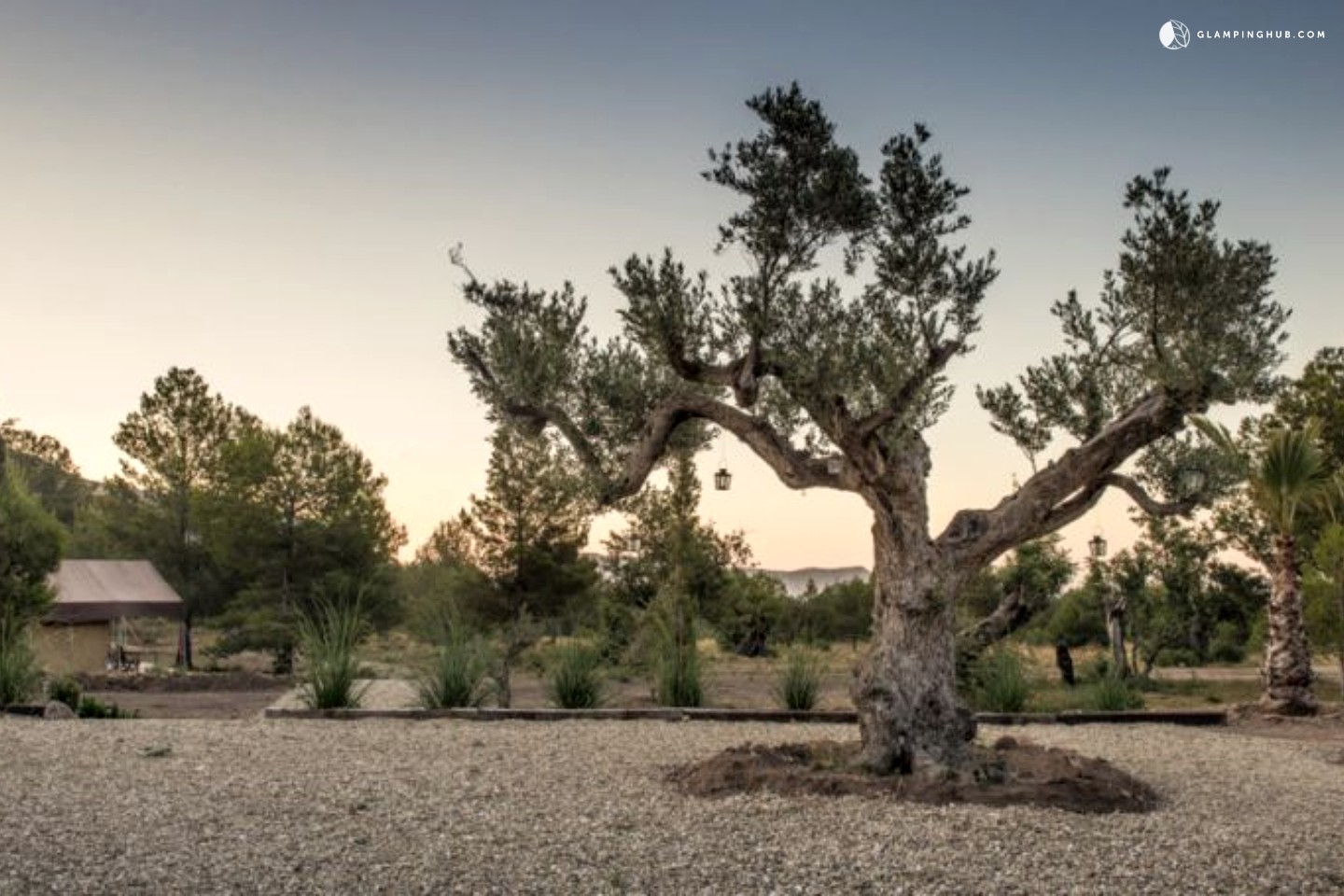 Luxury Tents in Alicante Glamping in Spain