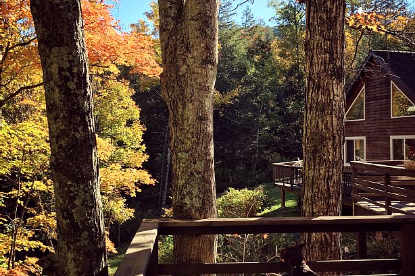 Pet Friendly Contemporary Cabin in New York