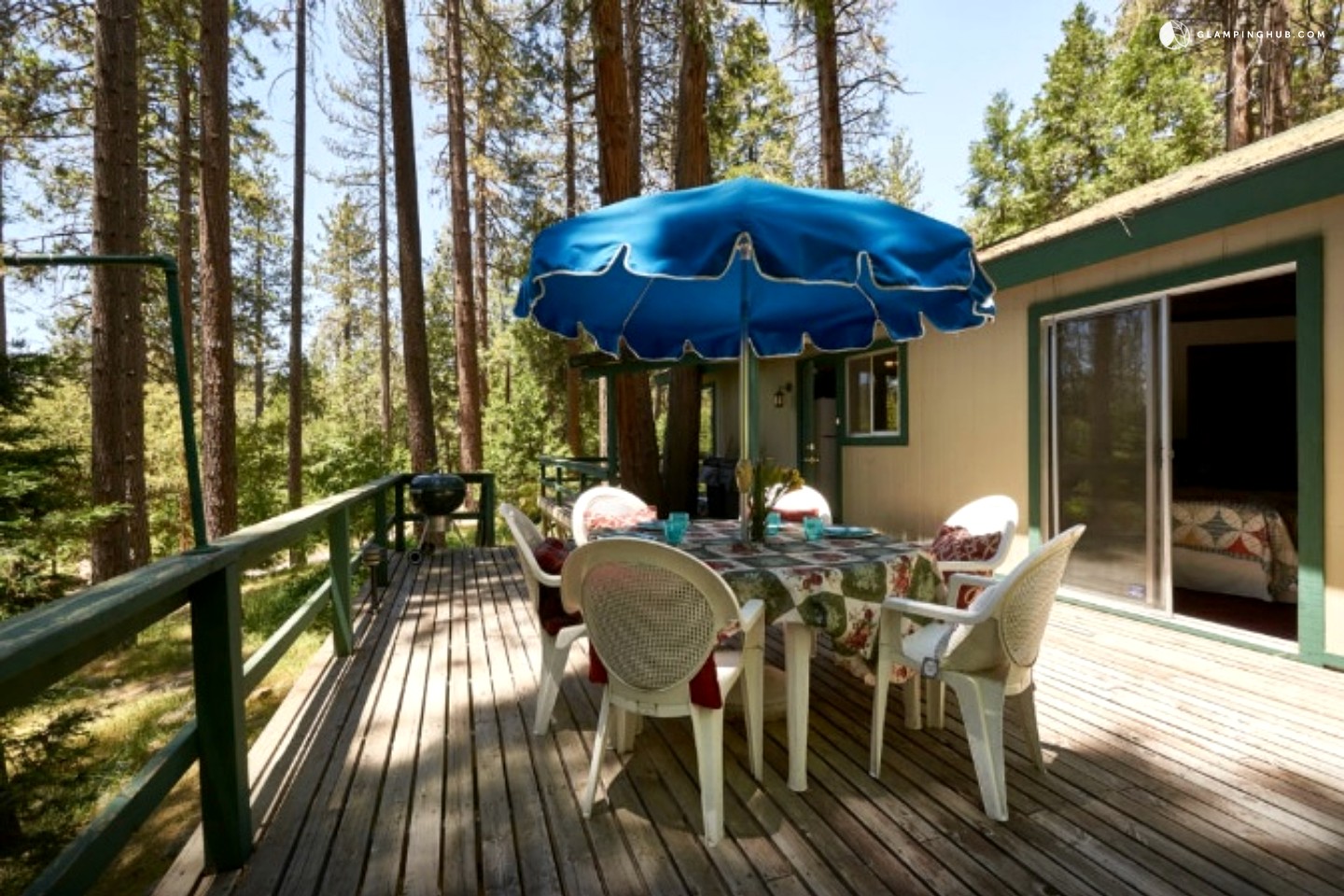 Secluded Cabin in Idyllwild, California