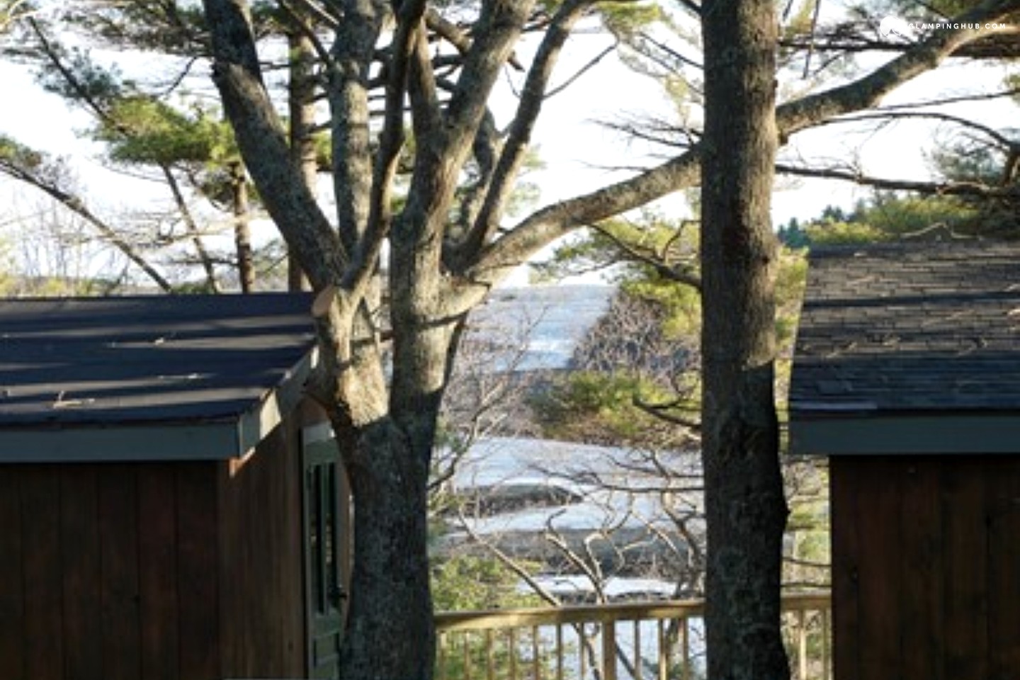 Tree House Rental in Maine