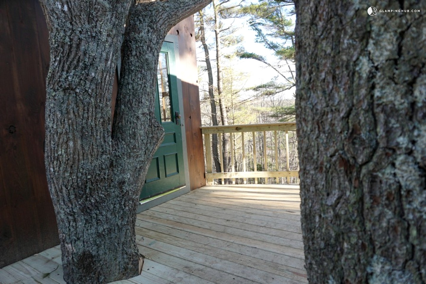 Tree House Rental in Maine