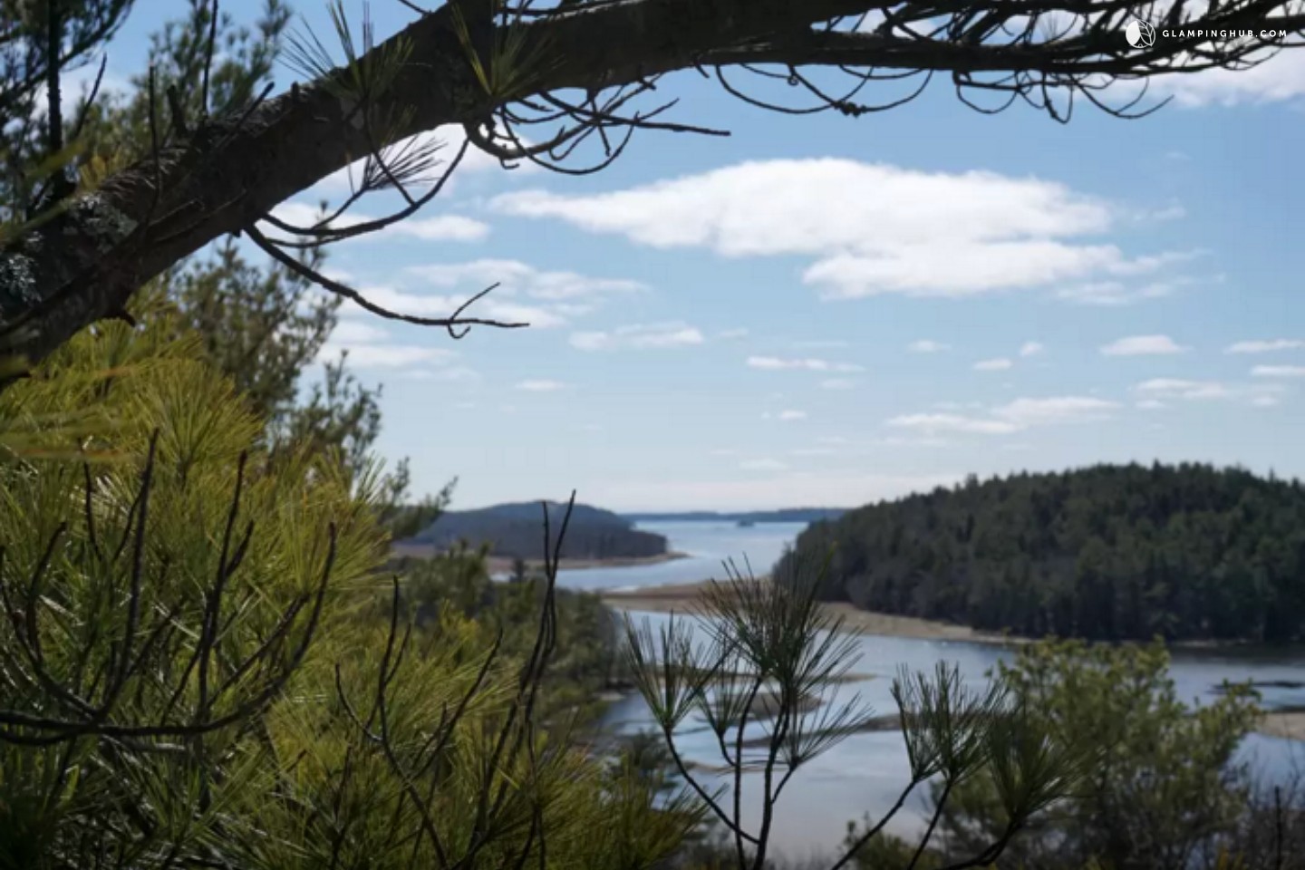 Tree House Rental in Maine