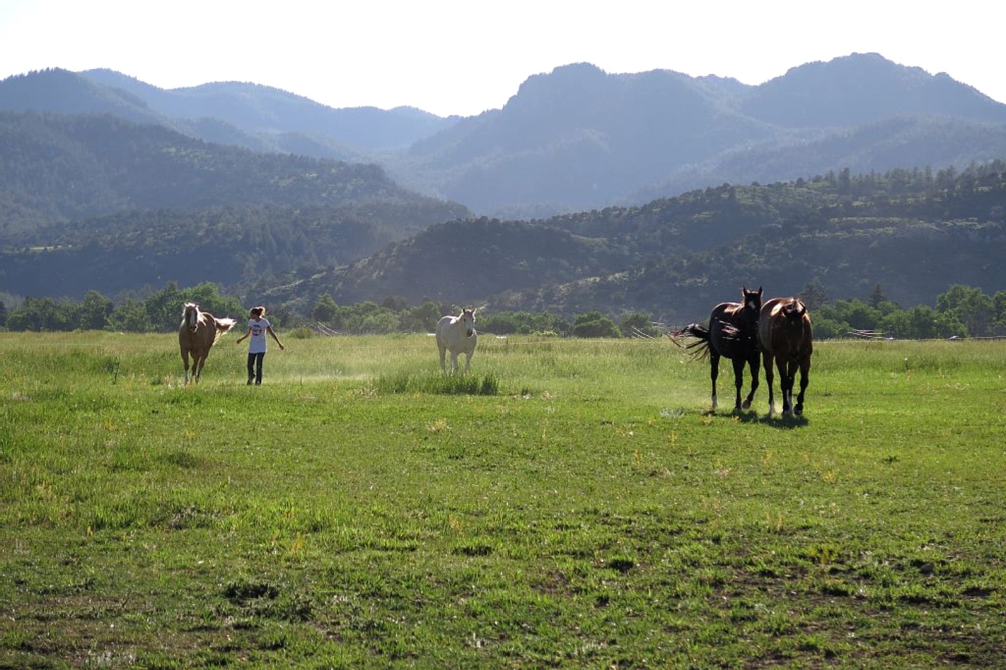 Cabin Rental in Beulah, Colorado